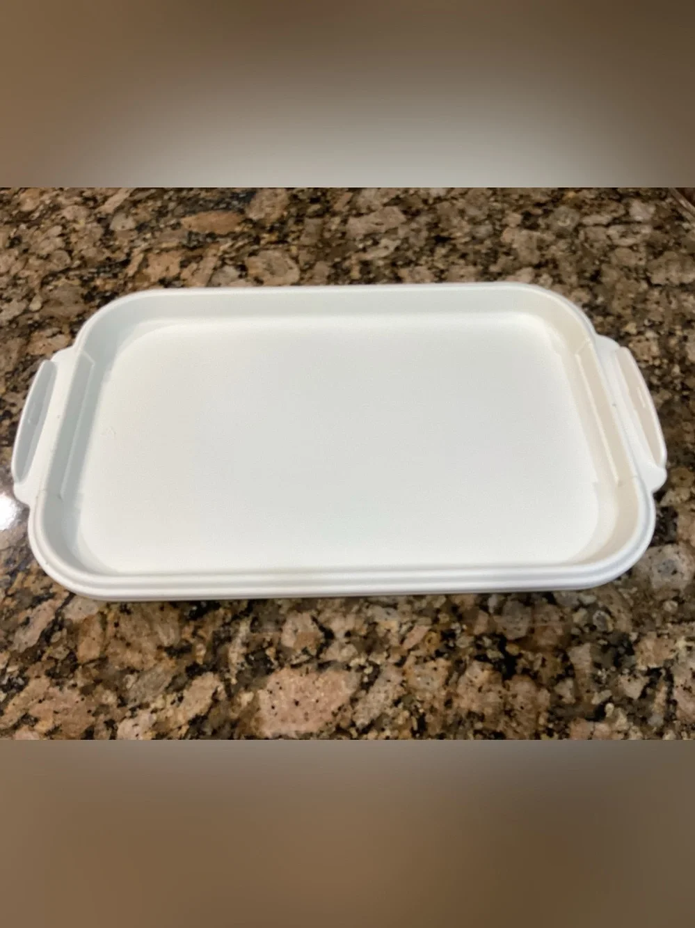 Aladdin Tempreserve Insulated 9 x 13 Casserole Carrier